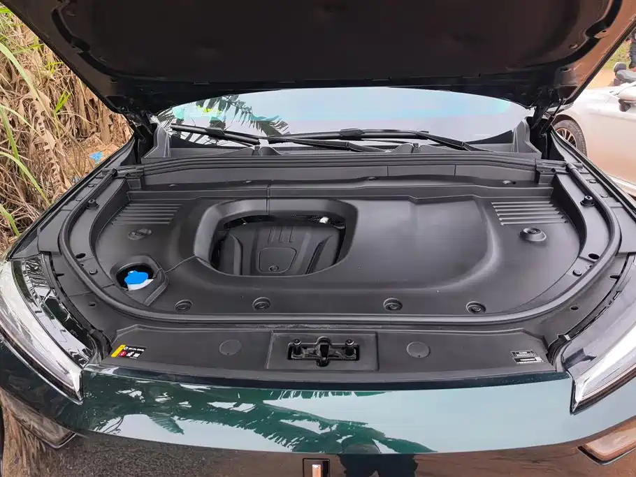 WEI PAI WEI BRAND BLUE MOUNTAIN