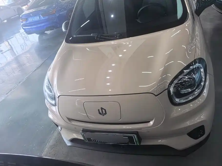 Leapmotor T03 2021 2021 400 Luxury Edition