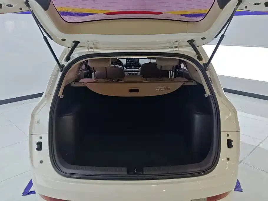 Фото 4 - Baojun 310W