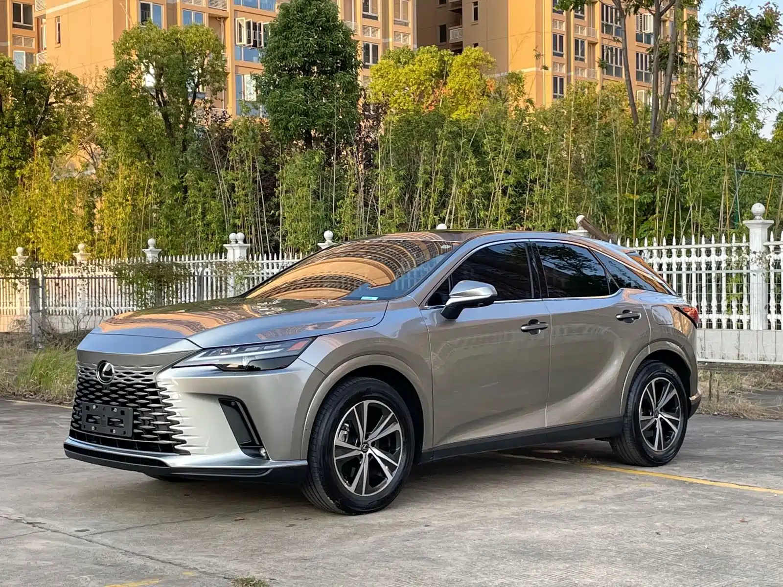 Фото 1 - Lexus RX