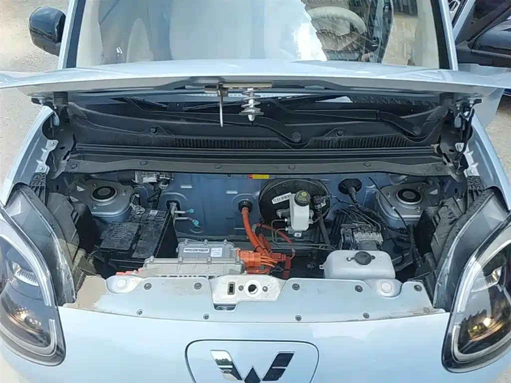 Фото 20 - Wuling Motors Hongguang MINIEV
