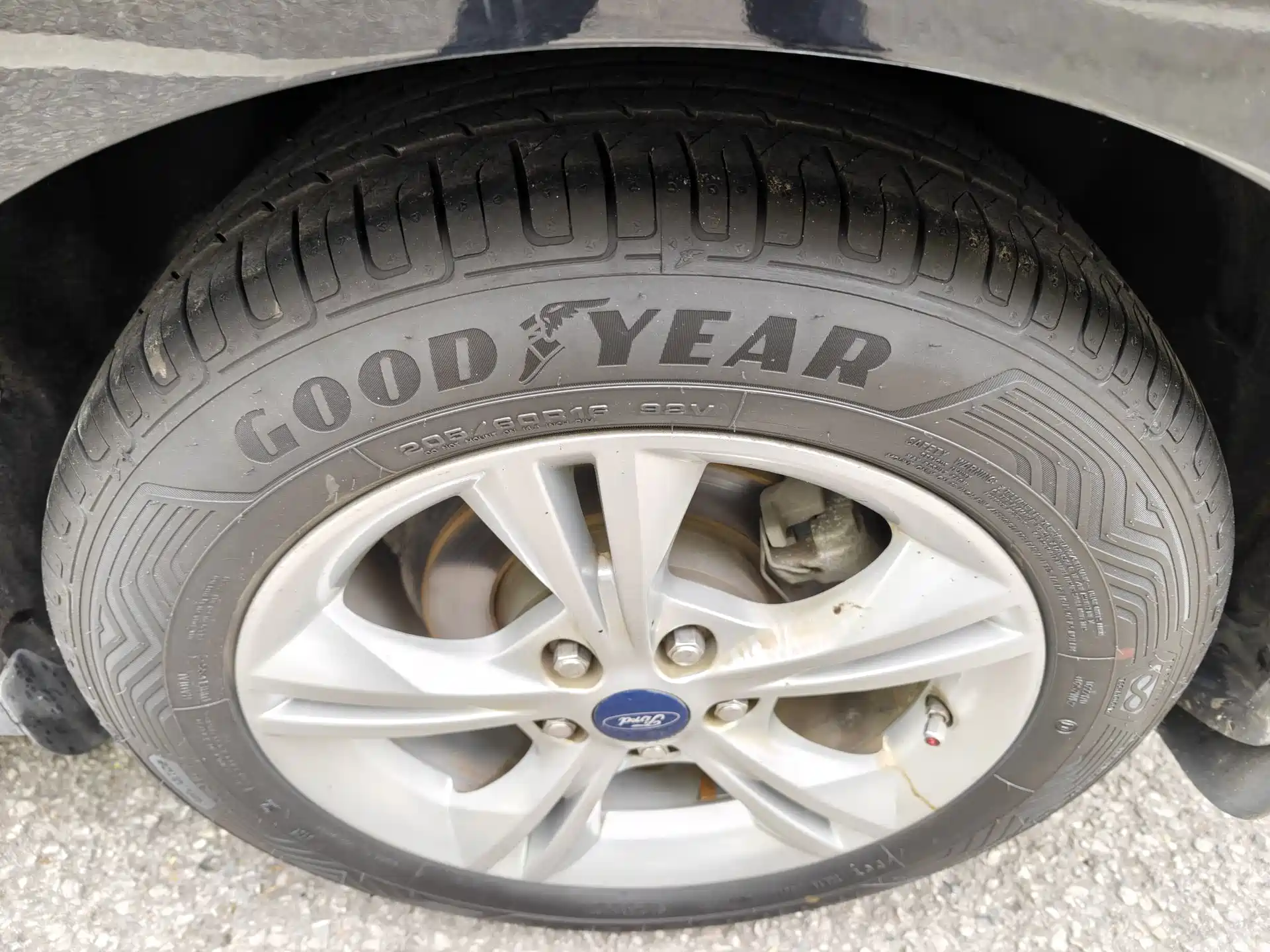 Фото 22 - Ford Focus