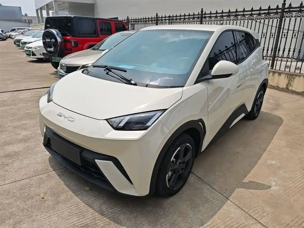 BYD Seagull 2024