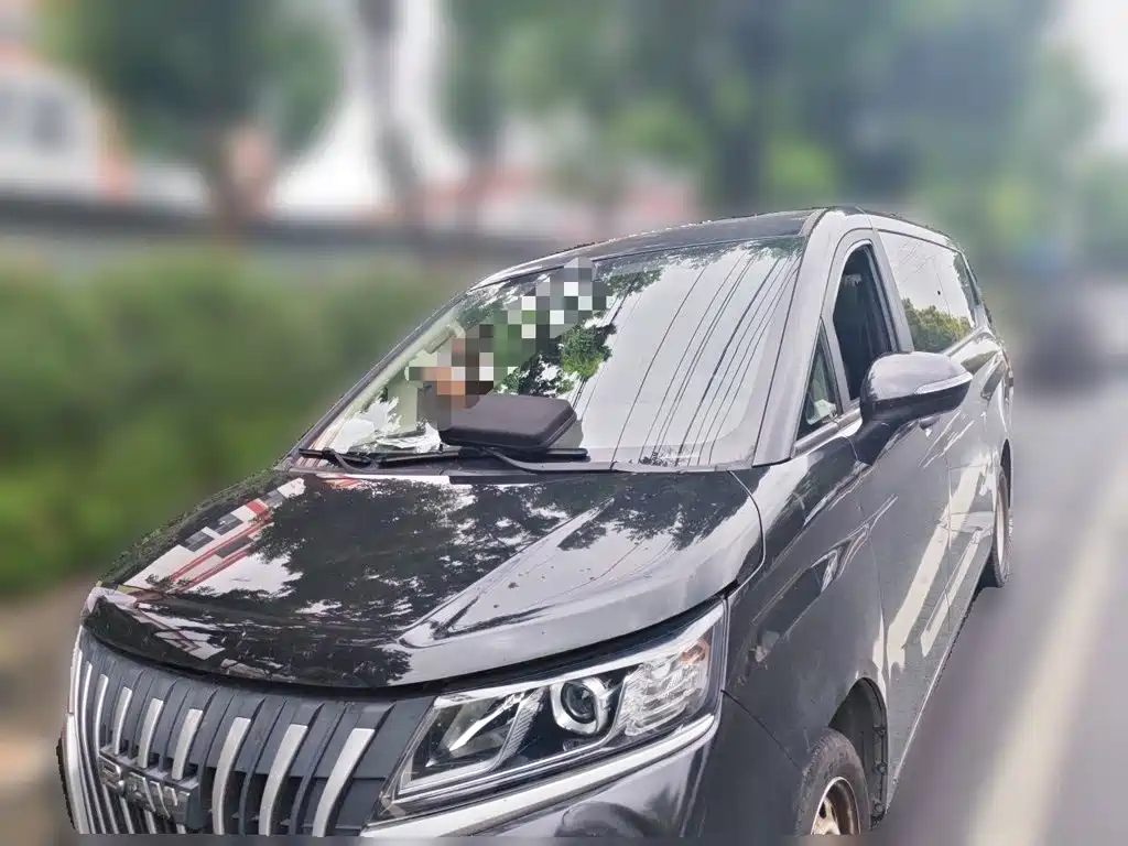 2023 BAW (Beijing Automobile Works) Ruisheng Ace M7