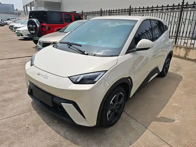 BYD Seagull Слава, 305km, Свобода