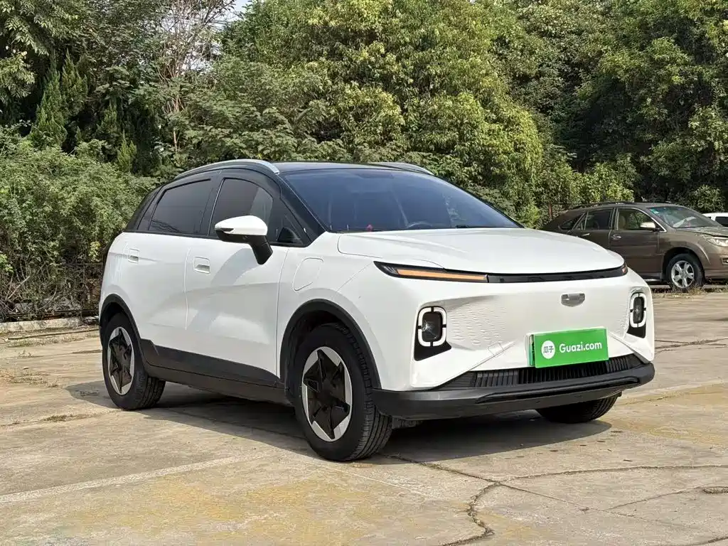 Geely Geometry E Firefly 2024 2024 401km Starlight