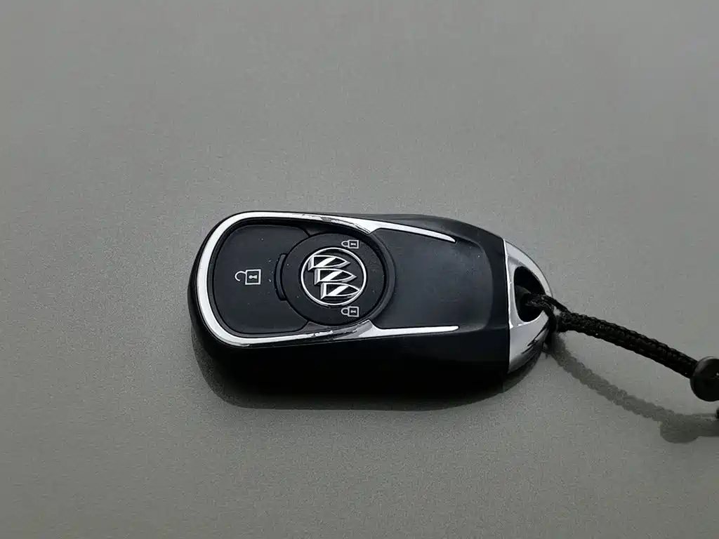 Buick GL6, миниатюра 19