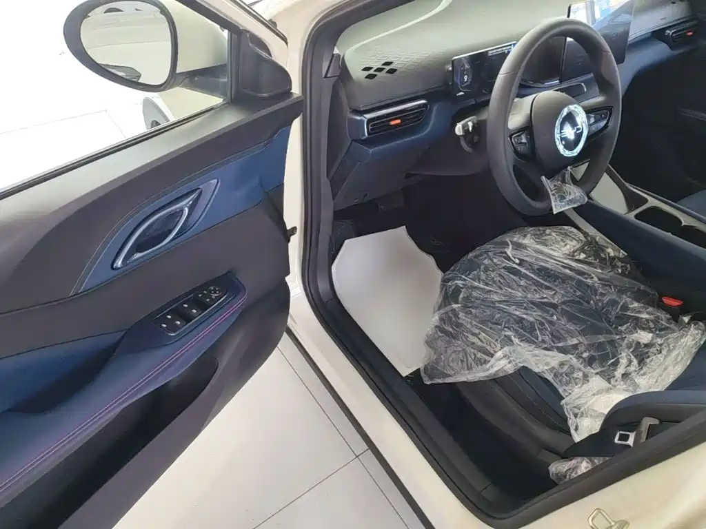 BYD Seagull 2026 2025 Smart Drive Edition 305km Vitality Version