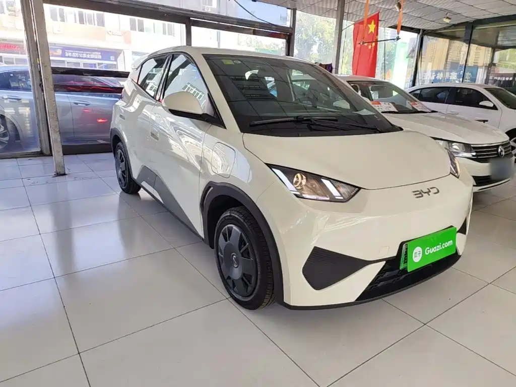 BYD Seagull 2026 2025 Smart Drive Edition 305km Vitality Version