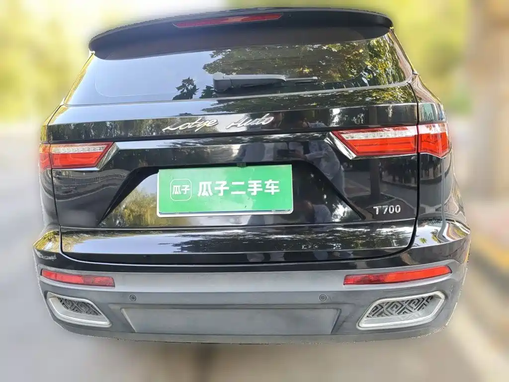 صورة 3 - Zotye T700