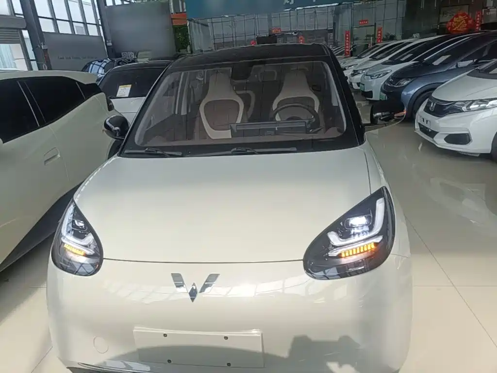 Wuling Motors Wuling Bingo 2023 2023 333km Joyful Version