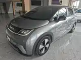Фото 2 - BYD Dolphin