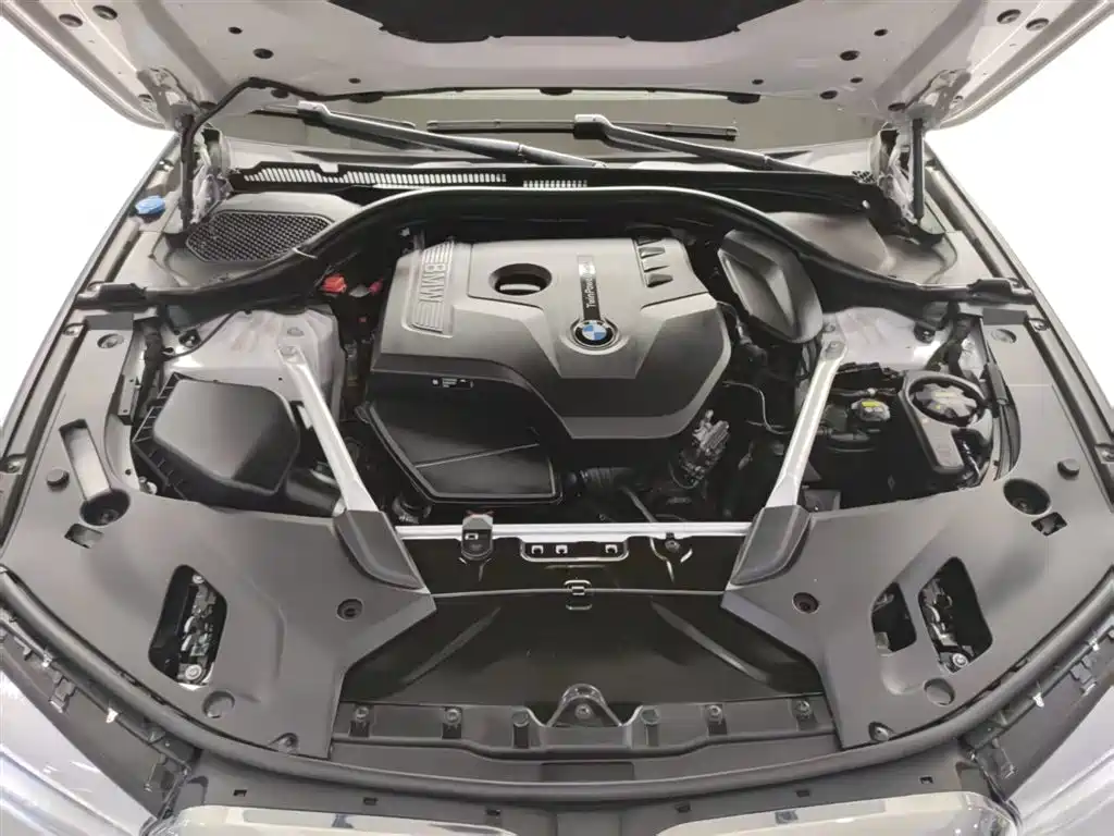 BMW 5 Series 2019 530Li Leading Luxury Package фото 20