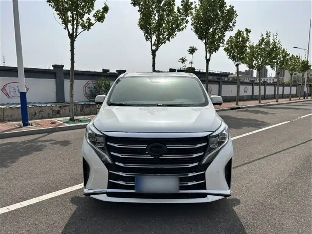 GAC Trumpchi Trumpchi M8 2021 Leading Show Series 390T Ultimate Edition фото 8