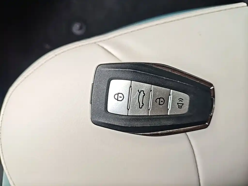 Geely Geometry E Firefly 2024 2024 Model 301km Starlight