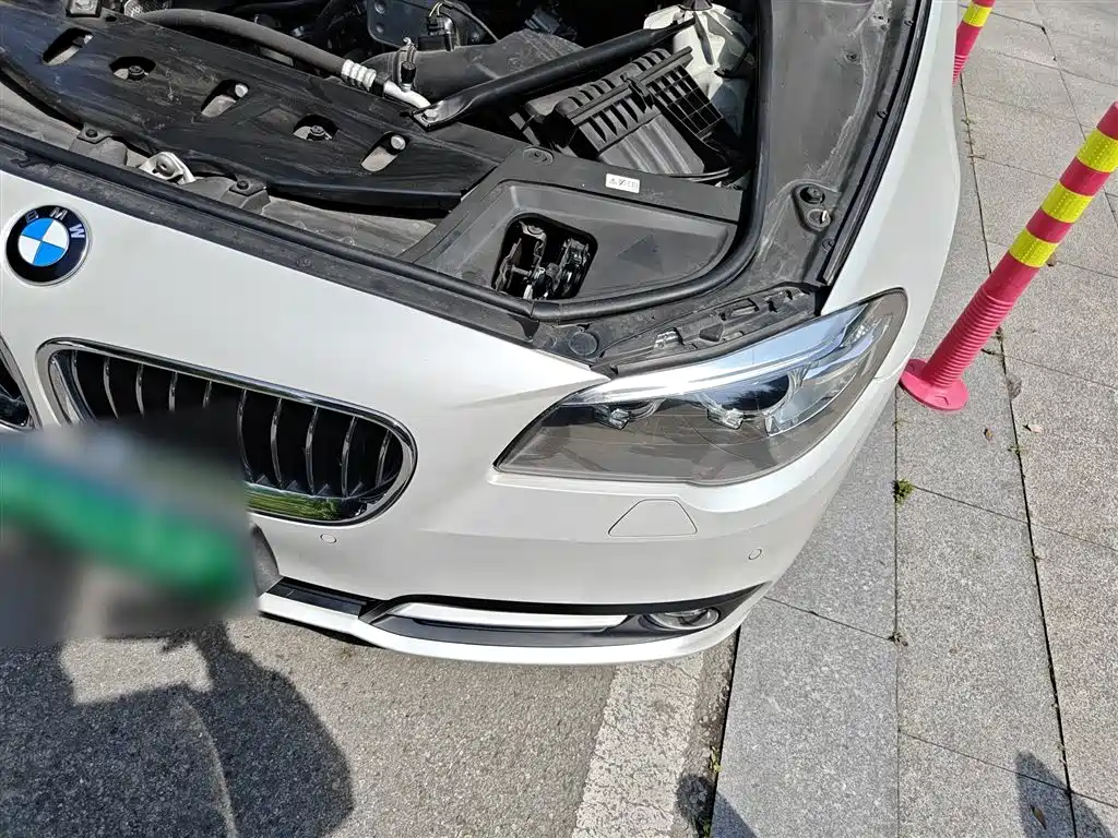 BMW 5 Series 2017 525Li Leading Edition фото 22