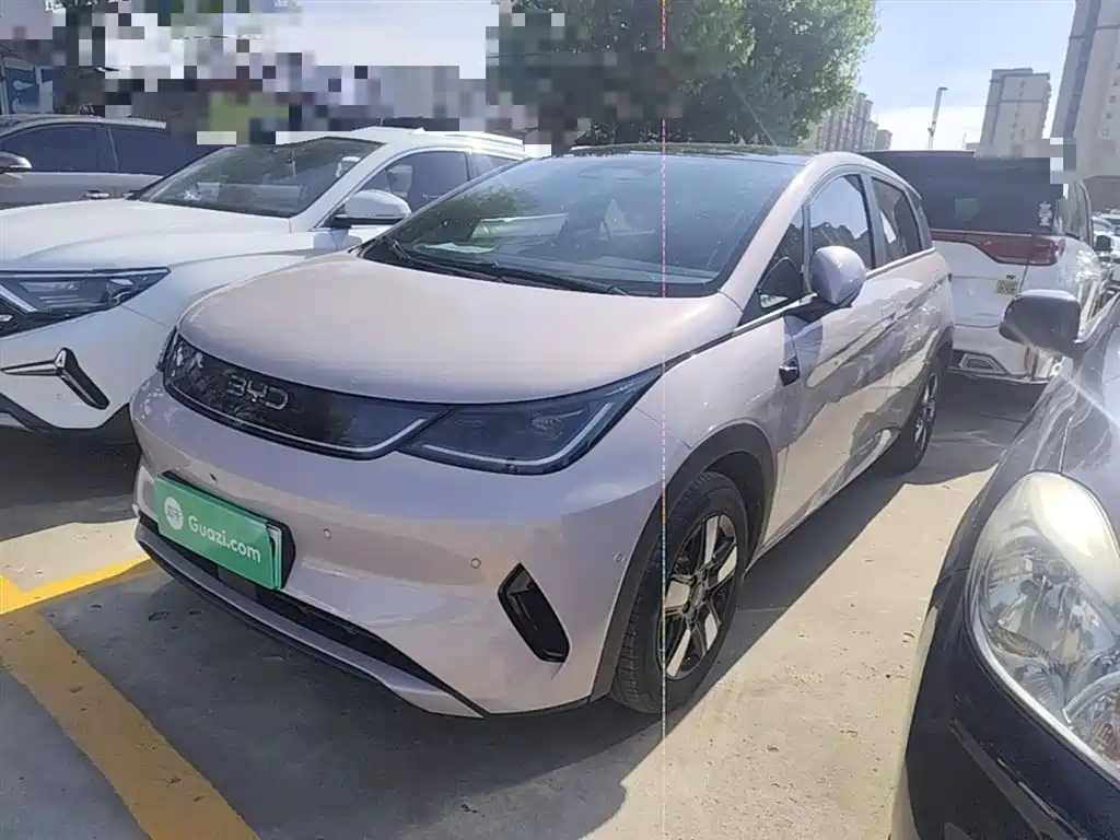 BYD Dolphin 2025 Smart Drive Edition 410km Fashion Version