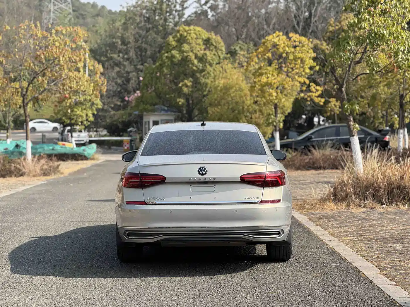Volkswagen Passat 2019 330TSI Luxury Edition China VI фото 14