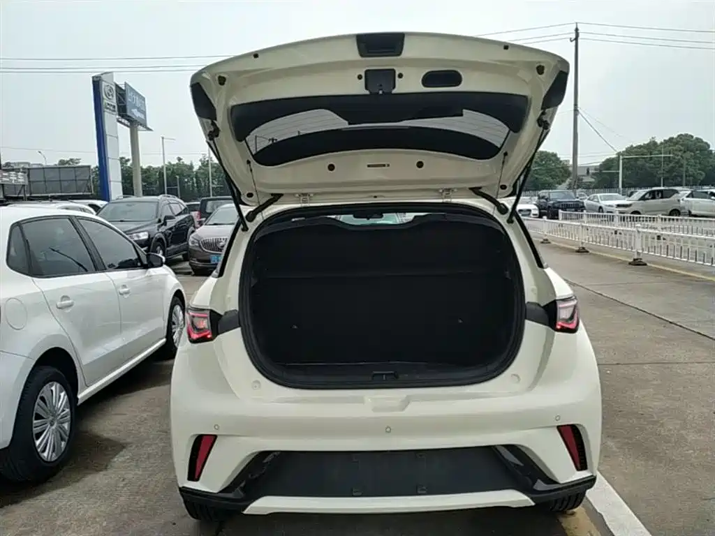 BYD Dolphin 2023 420km Fashion Edition фото 15