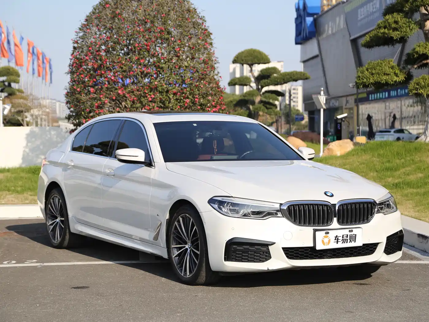 BMW 5 Series 2020 530Li Leading M Sport Package фото 3