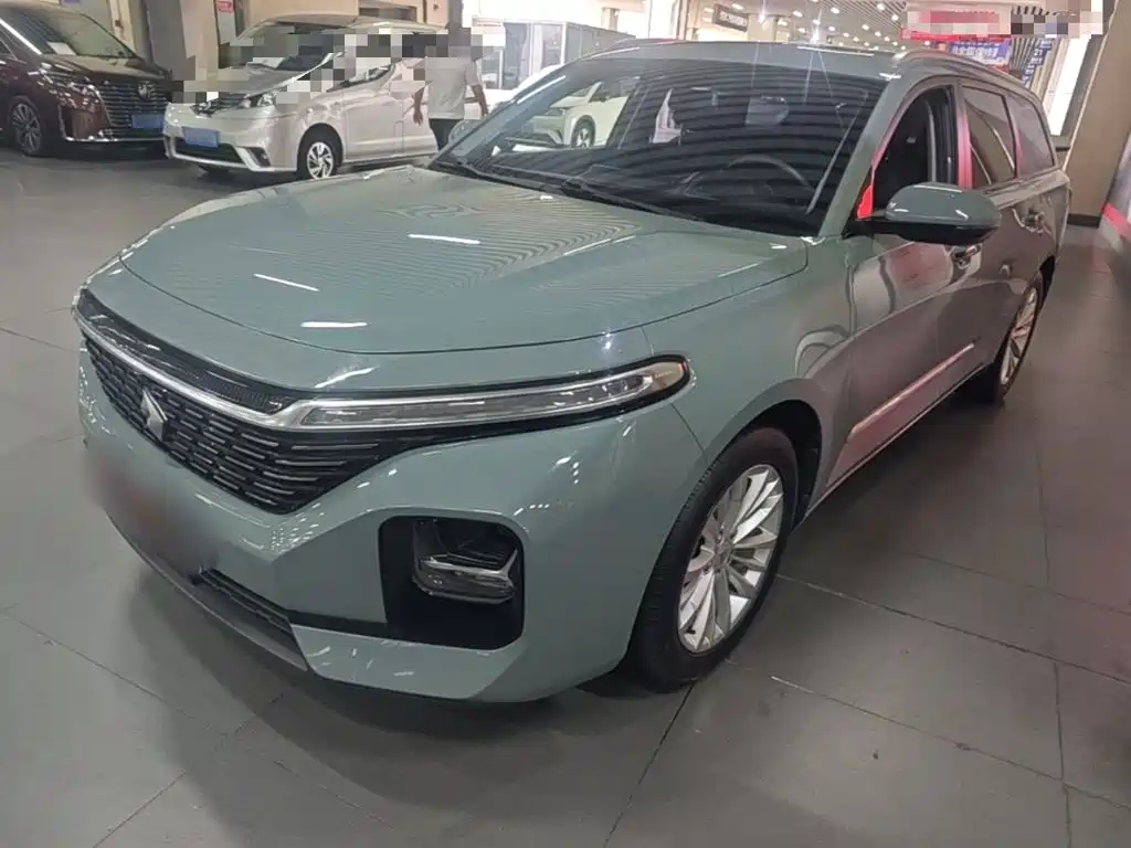 Baojun Valli 2022 2021 1.5T Dali Sky CVT Premium