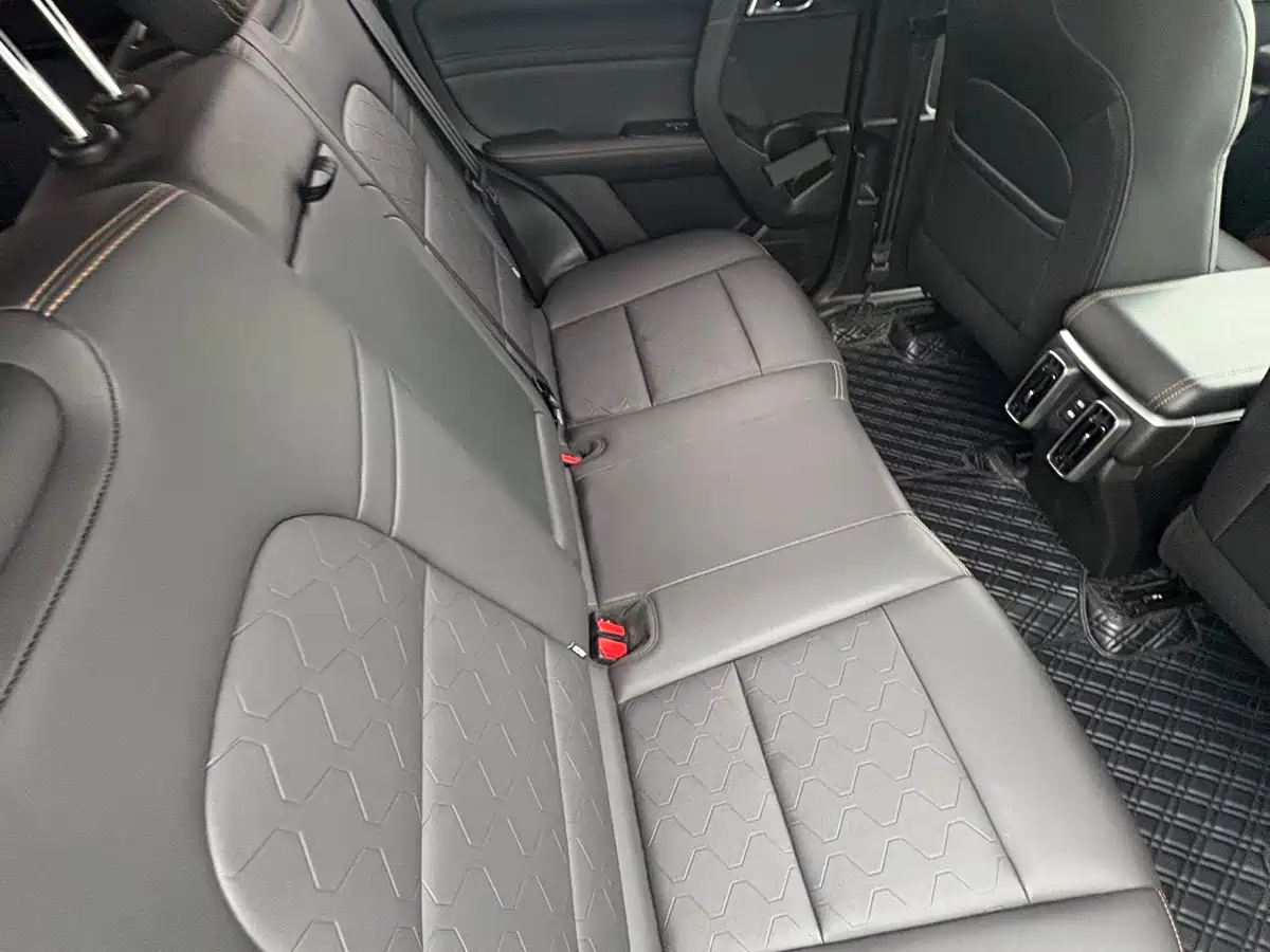 Haval Big Dog 2024 1.5T DCT Border Collie Edition фото 11
