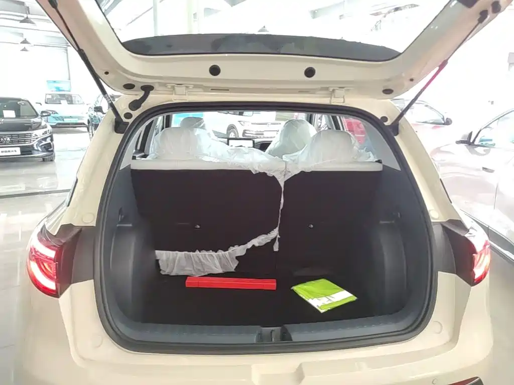 Geely Galaxy Starry Wish 2026 2026 Edition 310km Youth Version