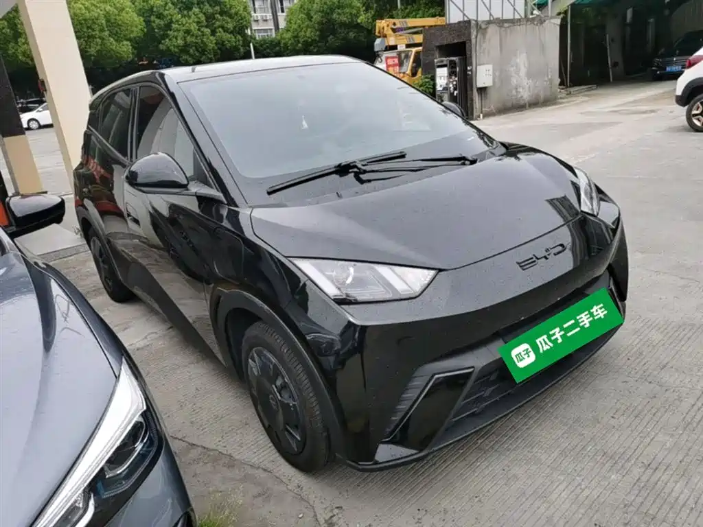 BYD Seagull 2023 Vitality Edition фото 4