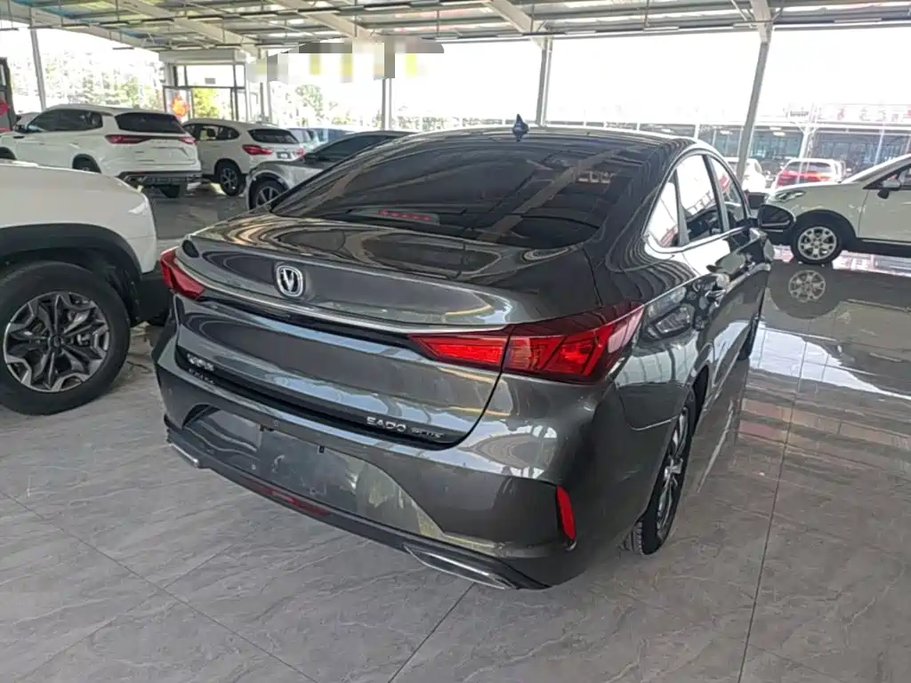 Фото 7 - Changan Eado