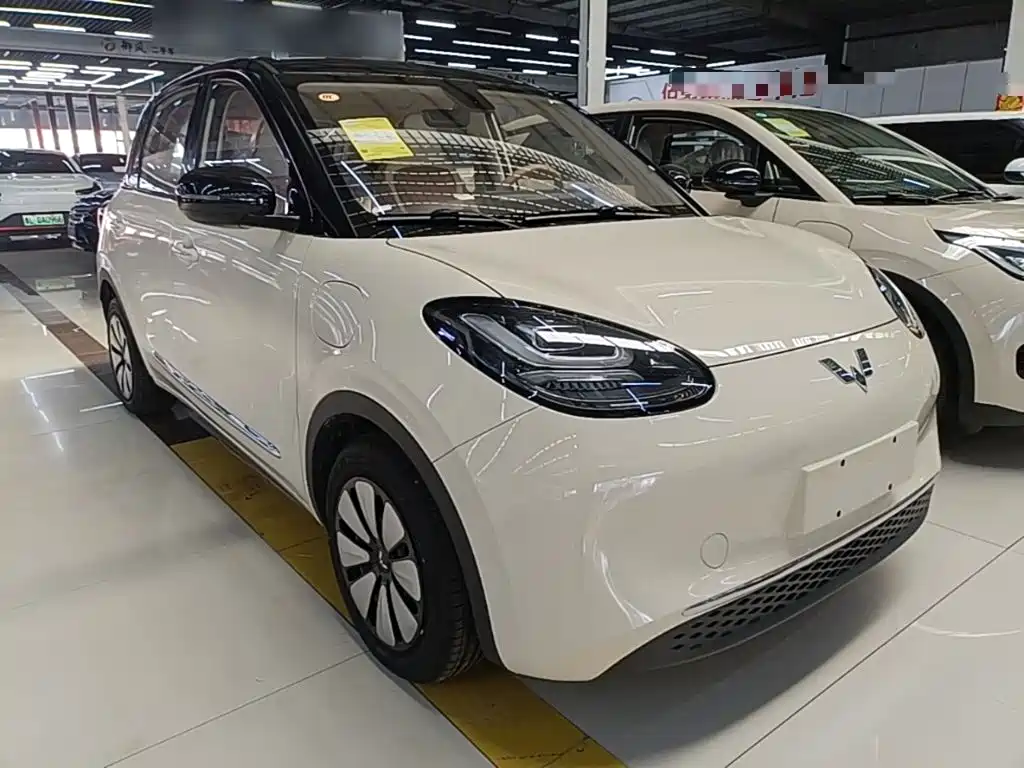 Wuling Motors Wuling Bingo 2026 2025 Model 333km Joy Edition