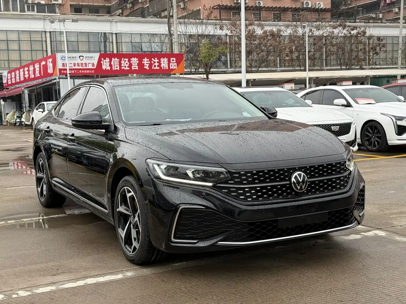 Volkswagen Passat 2024 380TSI Starlight Luxury Edition фото 3