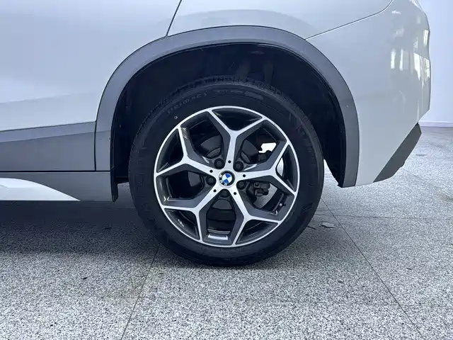 BMW X2 (Import) 2019 2019 sDrive20i M Off-Road Package China VI