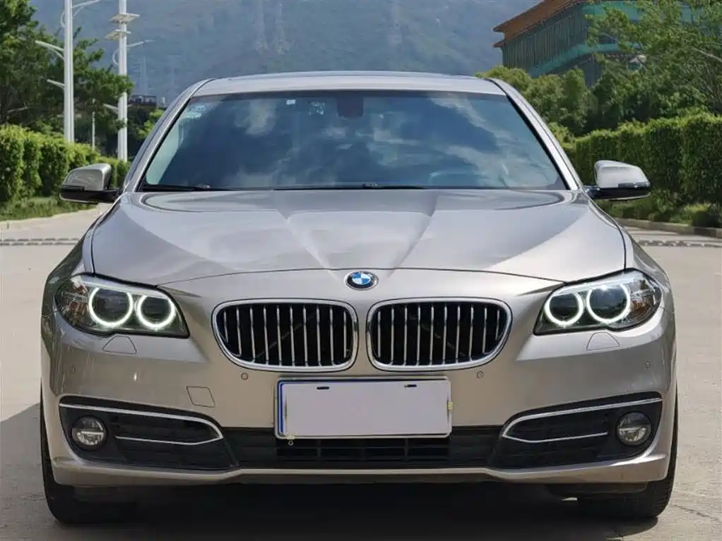 BMW 5 Series 2017 525Li Luxury Design Package фото 2