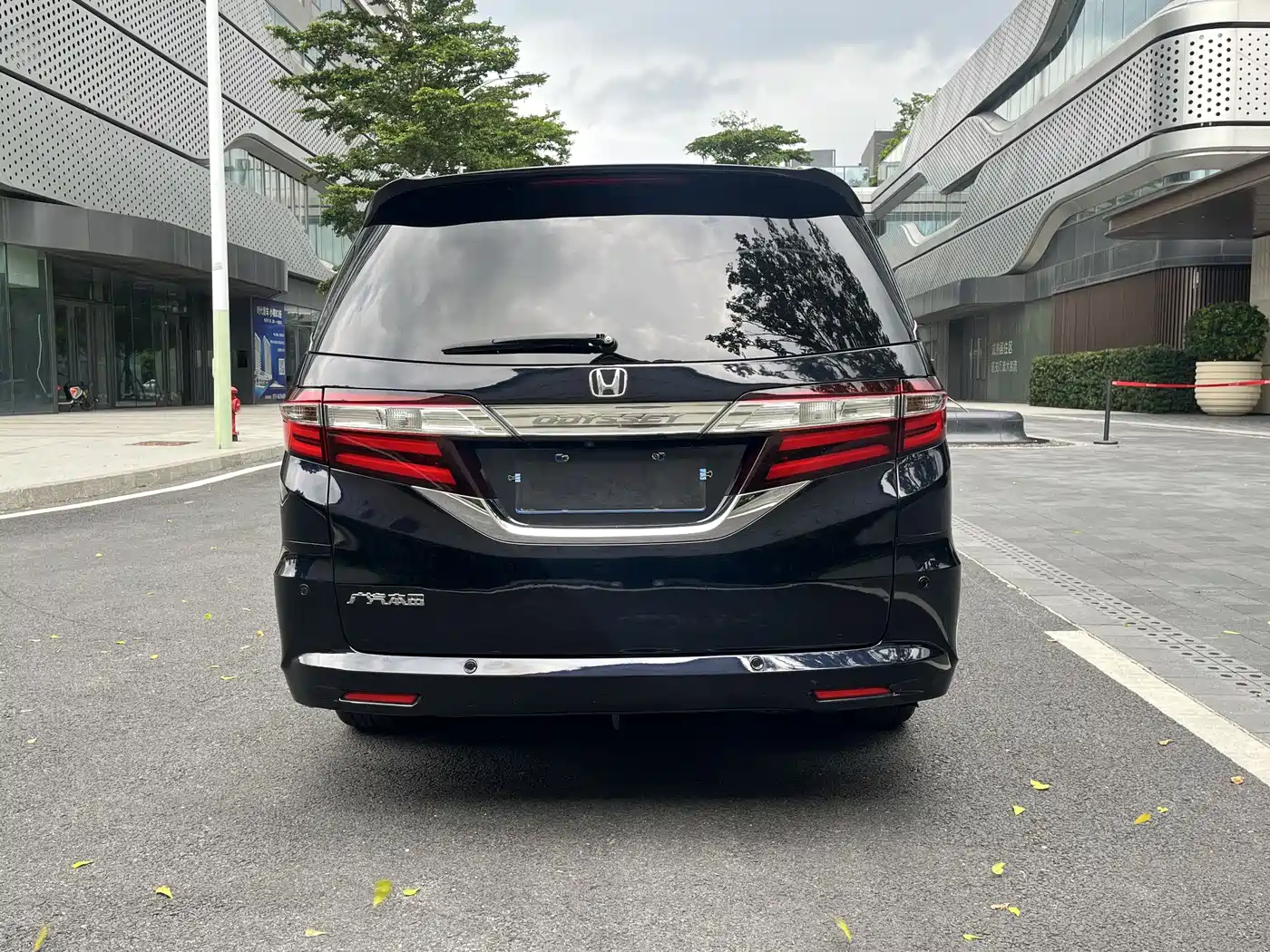 HONDA ODYSSEY