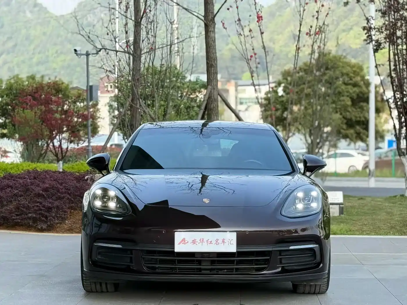 Porsche Panamera 2017 Panamera 3.0T фото 2