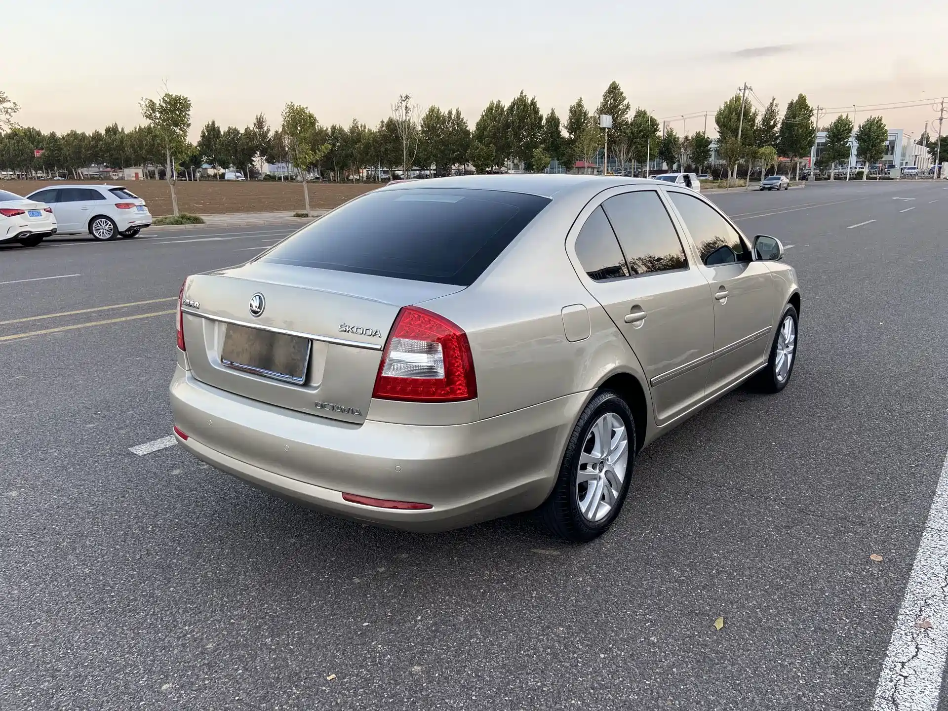 Фото 4 - Škoda Octavia