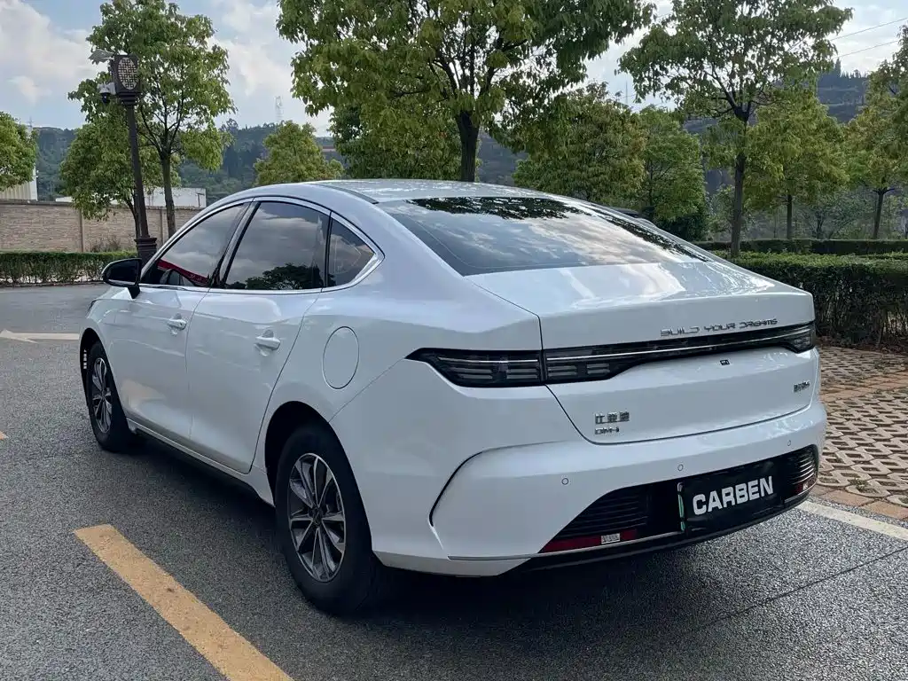 Фото 6 - BYD Destroyer 05