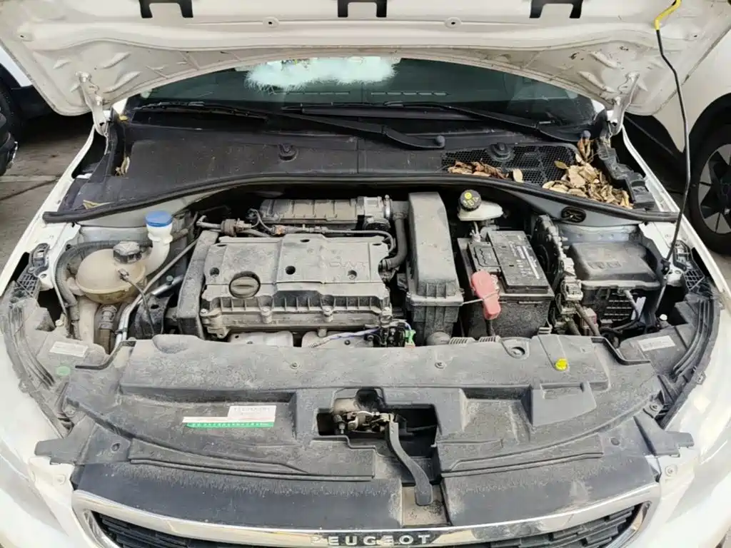 Photo 20 - Peugeot 301