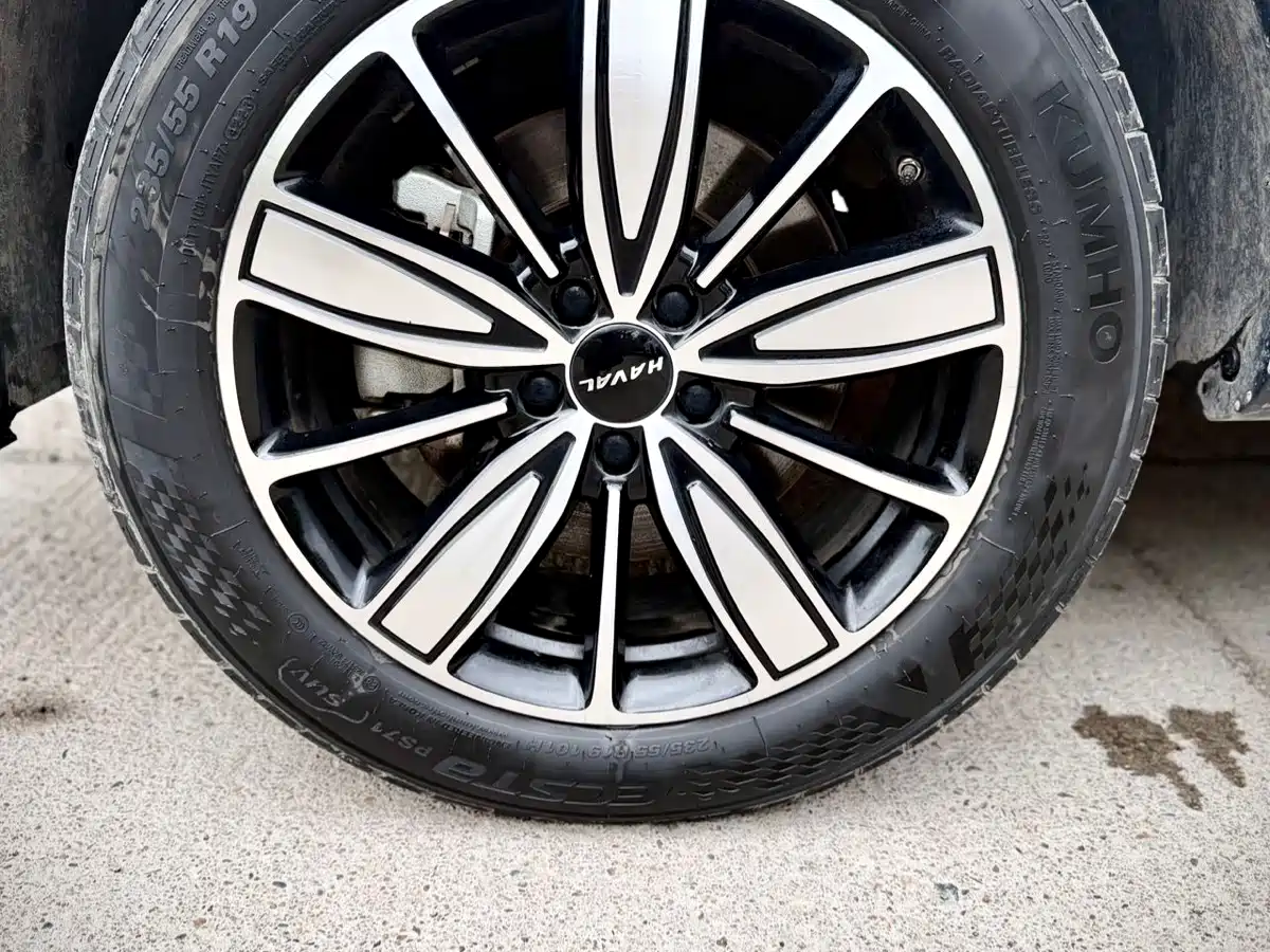 Haval H6 2023 National Trend Edition 1.5T Automatic Champion фото 9