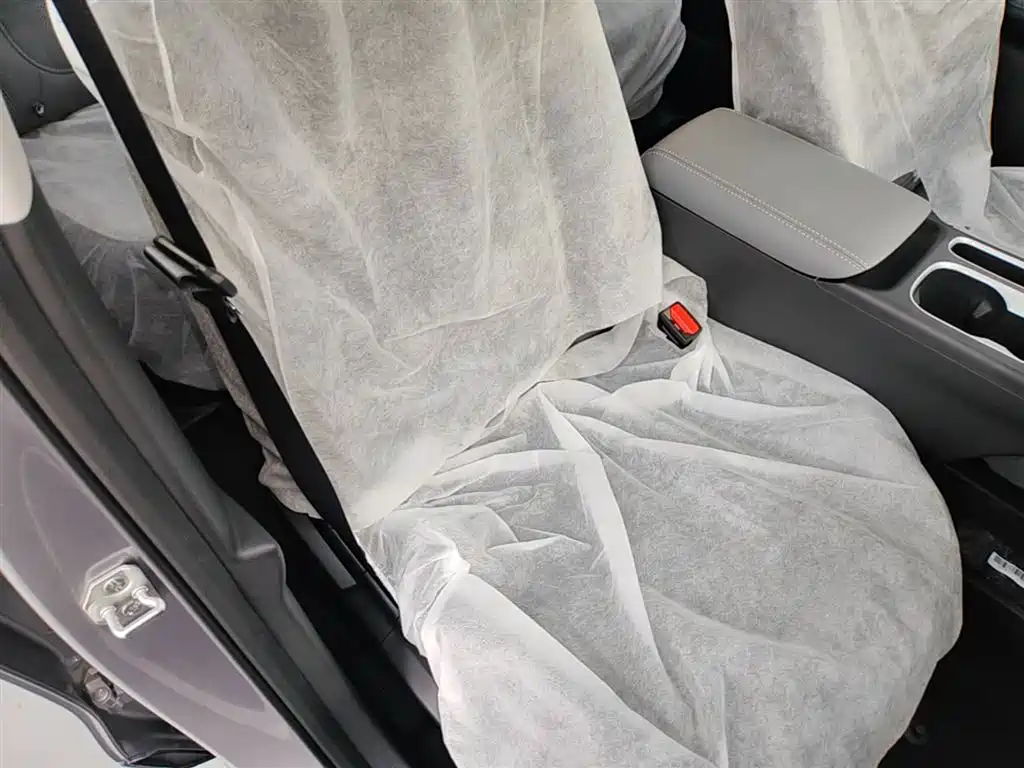 Geely Galaxy Starry Wish 2026 Model 310km Dream Edition фото 25