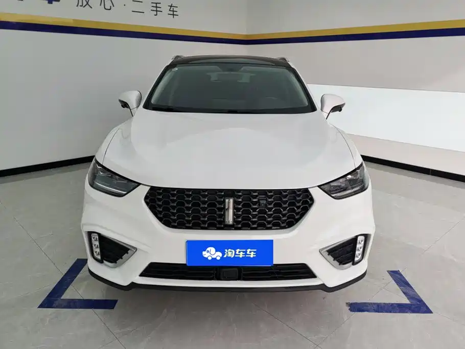 2021 WEY VV5