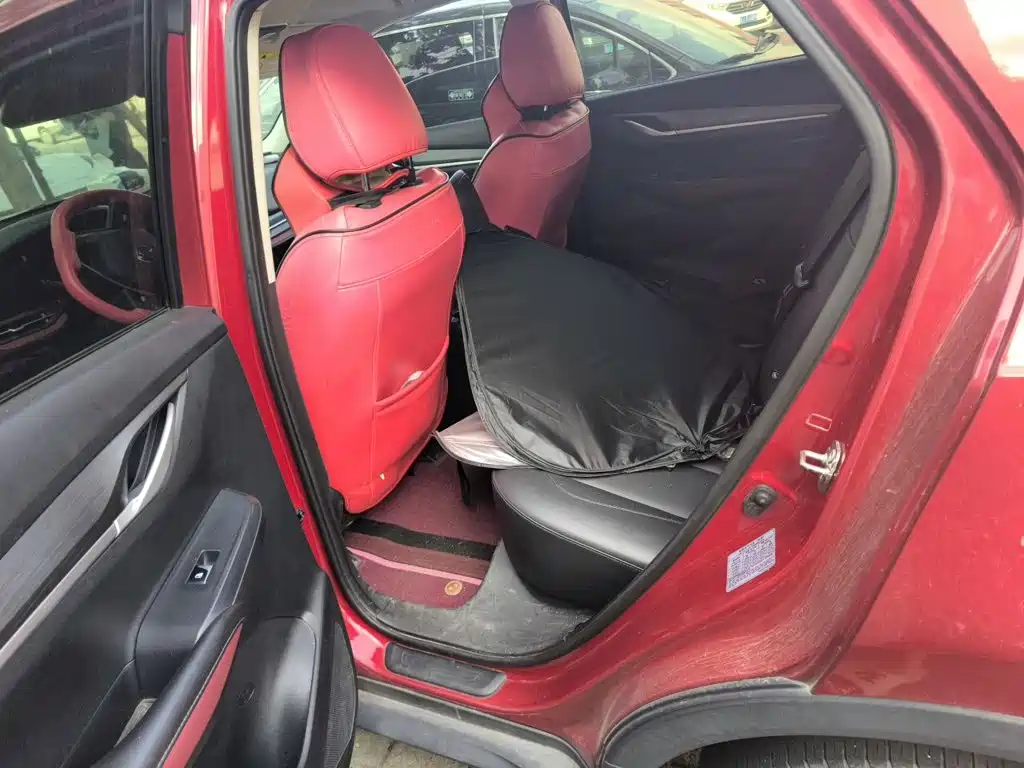 Changan CS55 PLUS 2020 2020 1.5T Manual Color Edition