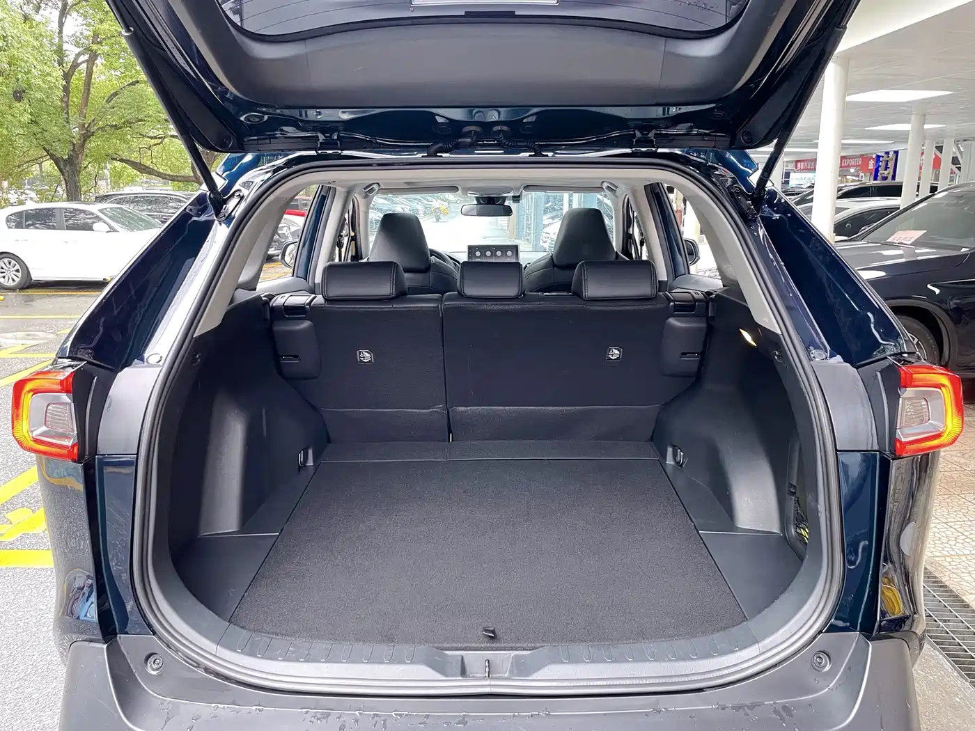 Toyota Wildlander 2020 Dual Engine 2.5L E-CVT FWD Luxury фото 10