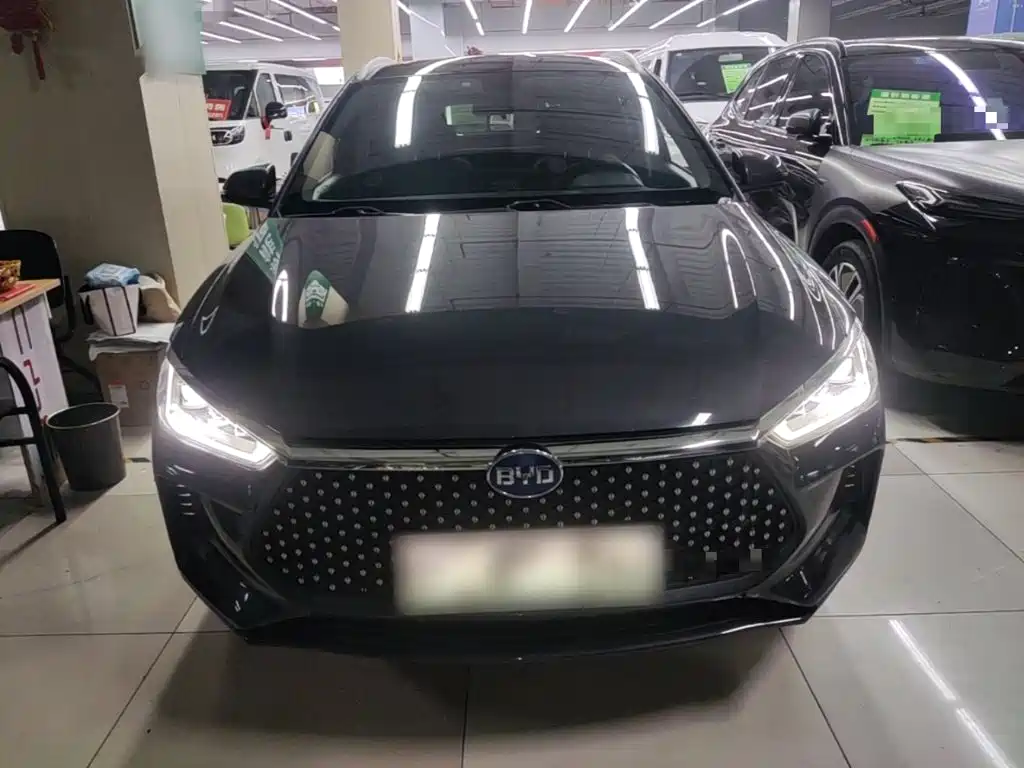 BYD e2 2021 2020 Upgraded Long Range Premium