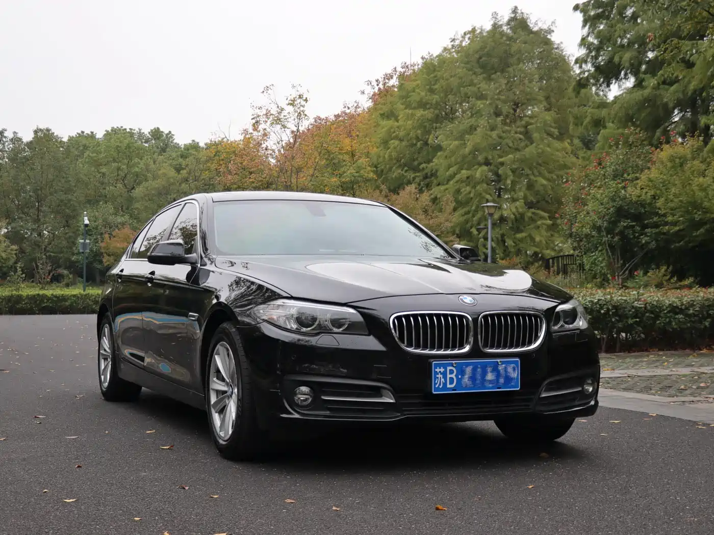 BMW 5 Series 2014 520Li Elegance фото 25