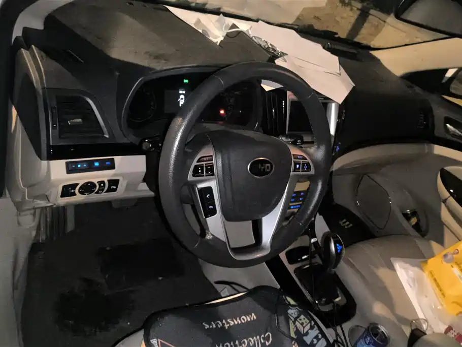 BYD e5 2018 450 Connected Enjoyment фото 15