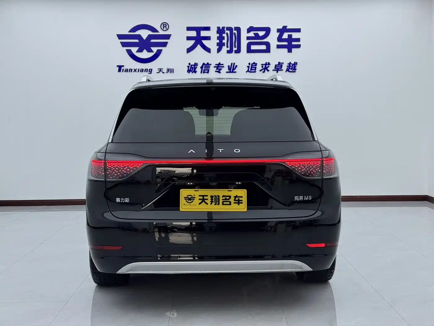 AITO Wenjie AITO M9 2024 Range Extender Max Edition 42kWh 6-seater фото 27