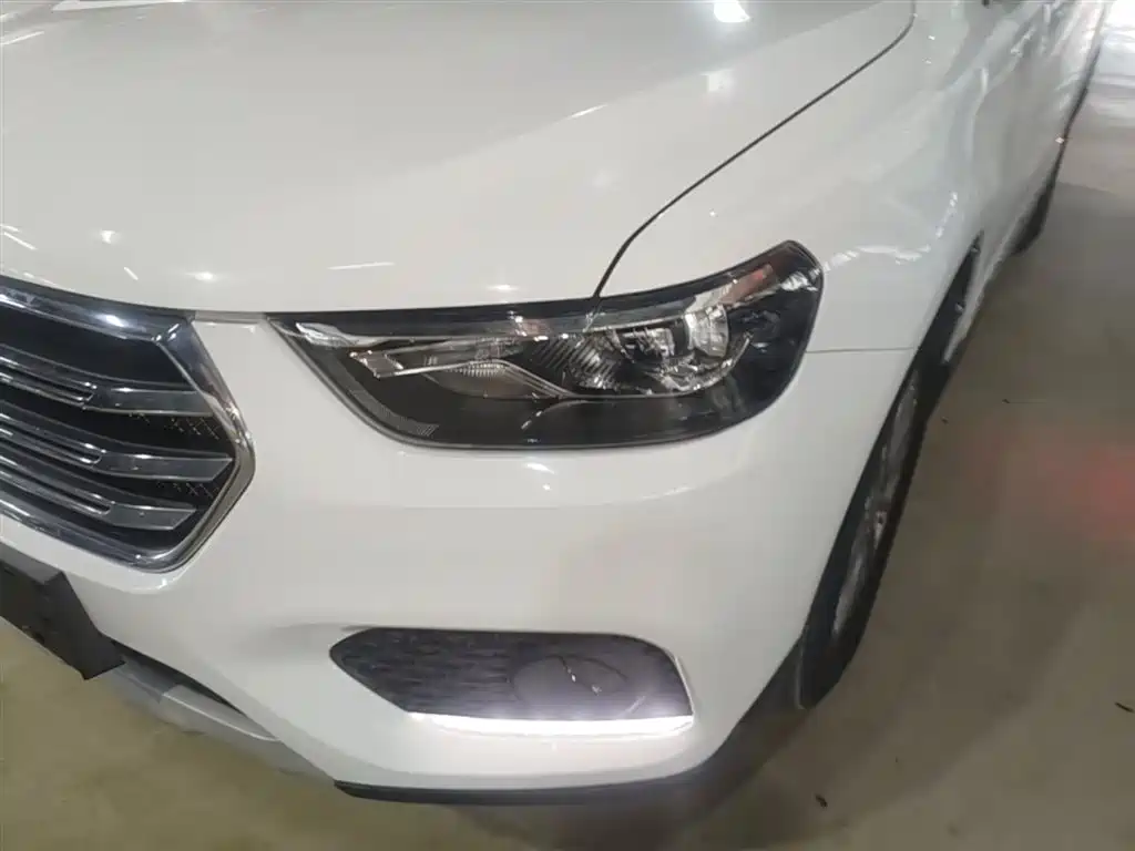 Haval H6 2017 Blue Label Sport 1.5T Auto 2WD Luxury фото 24