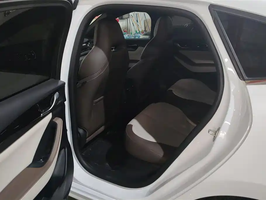 BYD Qin PLUS 2024 Glory Edition DM-i 55KM Leading фото 11