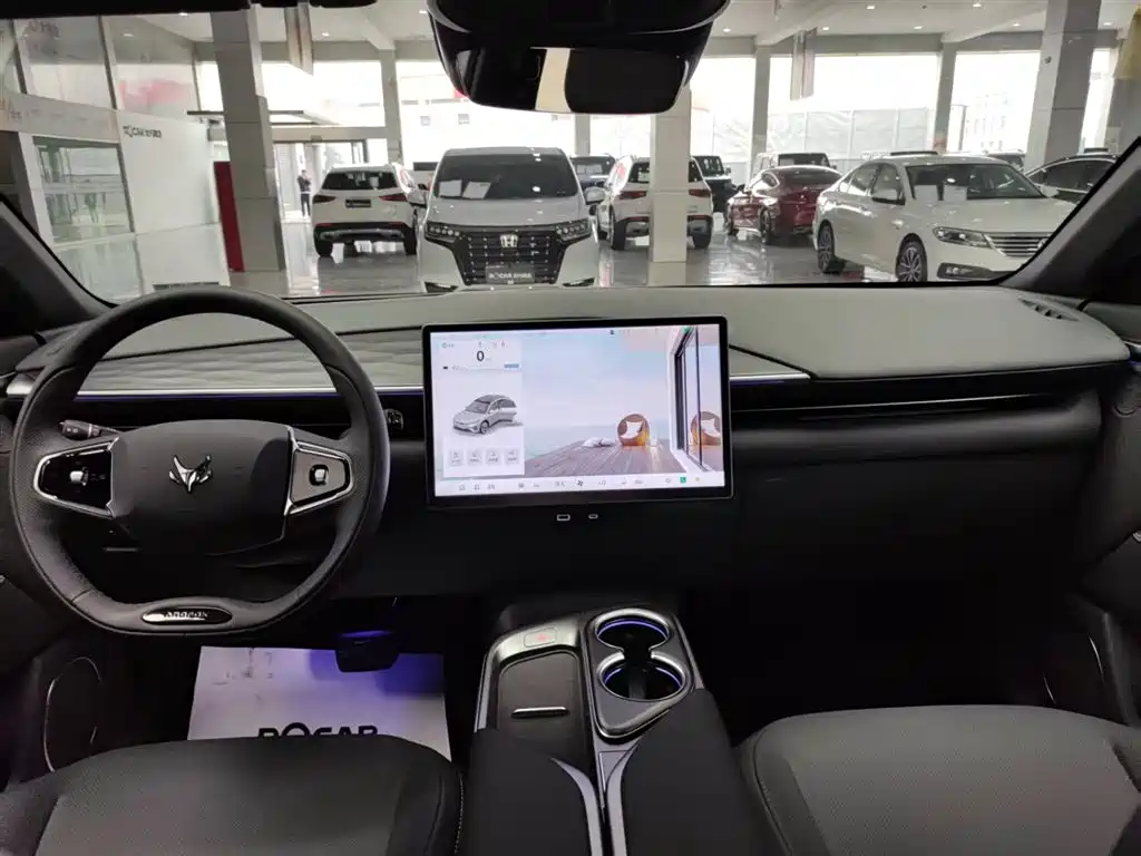 ARCFOX EXTREME FOX POLAR FOX ALPHA T5